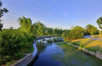 阳澄湖1.jpg